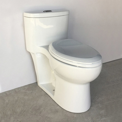 Ruvido a 10 pollici nella toilette prolungata di un pezzo toilette di altezza di comodità di 1 pezzo