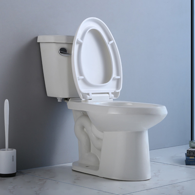 MAPPA in due pezzi di Ada Toilet Single Flush Siphonic 1000G della Jacuzzi