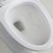 Toilette prolungate fisse del bagno con le linee ed il basso profilo puliti
