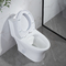 Toilette prolungata di superficie lustrata di un pezzo ceramica di auto pulizia 1,6 Gpf della toilette