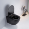 Parete prolungata Hung Toilet Adjustable Height And Seat di chiusura morbido