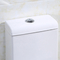 1,0 cassettone doppio della toilette con sciacquone dell'un pezzo solo standard americano ceramico di Gpf