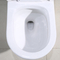 1,0 cassettone doppio della toilette con sciacquone dell'un pezzo solo standard americano ceramico di Gpf