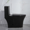 Sciacquoni doppie Matte Black Csa Toilet With 10,5 dei bagni della valvola dello sciacquone del sifone ruvido nel nero