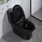Sciacquoni doppie Matte Black Csa Toilet With 10,5 dei bagni della valvola dello sciacquone del sifone ruvido nel nero