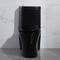 porcellana nera standard americana della toilette di un pezzo di 300mm Siphonic