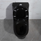 porcellana nera standard americana della toilette di un pezzo di 300mm Siphonic