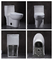 La fine a livello di Ada One Piece Toilet Single Siphonic coppia gli articoli sanitari