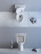 Doppia copertura di rallentamento di silenzio del cassettone del pezzo della toilette in due pezzi occidentale