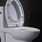 Ruvido a 10 pollici in Ada Comfort Height Toilet For ha disattivato rv con vampata di potere