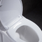 Bianco standard americano della toilette di altezza di ADA One Piece Elongated Comfort