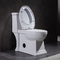 Handicap Ada Elongated Toilet standard americana una conservazione dell'acqua di 1 pezzo