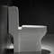 Ada Compliant Dual Flush Toilet Seat 1 pezzo 1.28gpf/4.8lpf