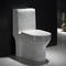 Ada Compliant Dual Flush Toilet Seat 1 pezzo 1.28gpf/4.8lpf