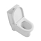 Bagno di un pezzo a 19 pollici di Ada Comfort Height Toilet Elongated ceramico
