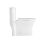 Bagno di un pezzo a 19 pollici di Ada Comfort Height Toilet Elongated ceramico