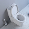 Ada Bathrooms Toilets For Physically commerciale ha handicappato la persona sfidata