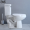 Ada Comfort Height Toilet Close a livello calma coppia 14 ruvidi in nessun angoli