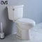 Il bagno in due pezzi della toilette di Washdown della porcellana ha integrato il gabinetto del sifone