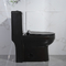 L'un pezzo solo standard americano di basso profilo ha prolungato la toilette 1.6Gpf nero alto