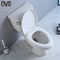 Ada Two Piece Toilet Flush gabinetto di 2 pezzi nella MAPPA matrice 1000G del bagno