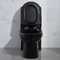 Sifone prolungato di un pezzo nero Jet Toilet Flushing Systems di Gpf delle toilette 1,6