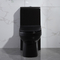 Sifone prolungato di un pezzo nero Jet Toilet Flushing Systems di Gpf delle toilette 1,6