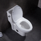 L'un pezzo solo 1.28GPF/4.8LPF ha prolungato l'altezza doppia della comodità della toilette con sciacquone un Wc di 1 pezzo