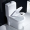Conforti la ciotola rotonda bianca fiancheggiata piena di un pezzo di Seat della toilette di altezza CUPC